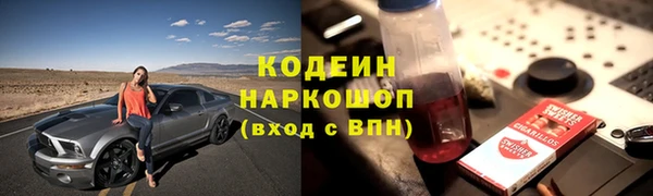 эйфоретик Бородино