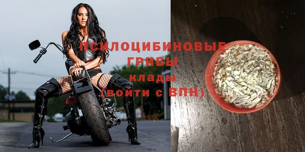 кокс Богородск